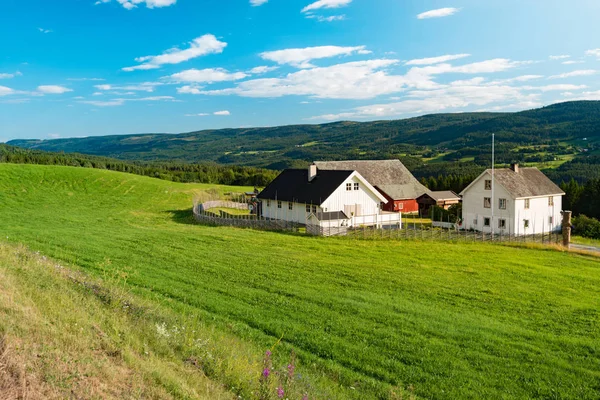 Norvège maisons de campagne. Prairies et montagnes . — Photo