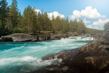 Ormandaki nehir. Norveç, Europe.