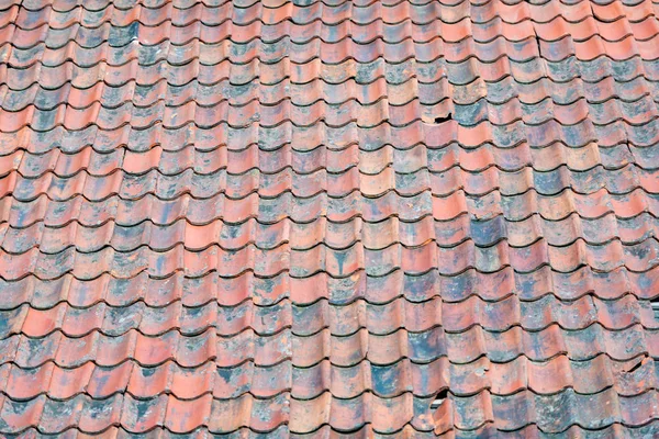 老石头瓦片屋顶在挪威, 欧洲 — 图库照片