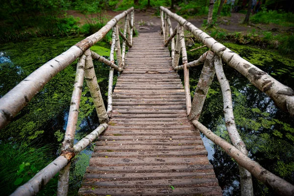 Träbro i gröna skogen — Stockfoto