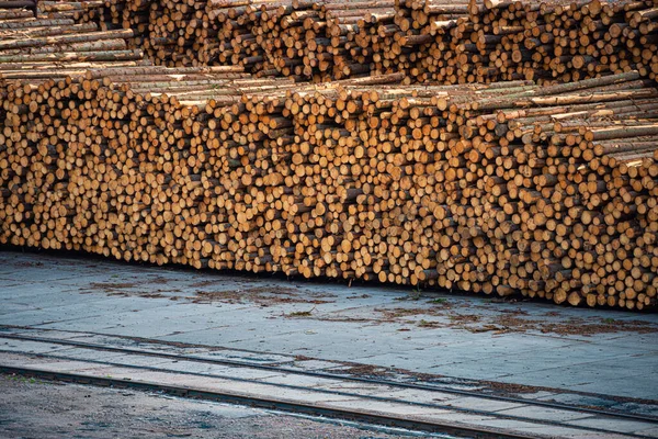 Stos drewnianych kłód gotowy do wysyłki — Zdjęcie stockowe
