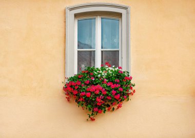 Güzel çiçekleri olan eski beyaz bir pencere, sarı bina duvarı. Almanya 'da mimarlık ve seyahat.