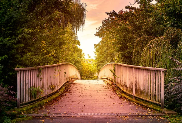 Vecchio Ponte Nel Parco Della Città Bad Mergentheim Baviera Germania — Foto Stock