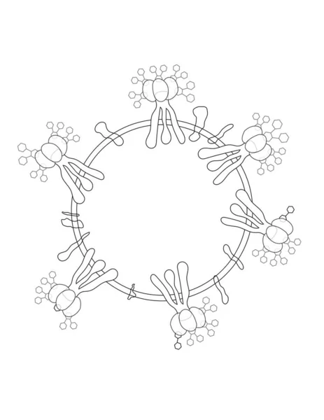 Coronavirus Structure Virion Sans Remplissage Couleur 2019 Ncov Covid 2019 — Photo