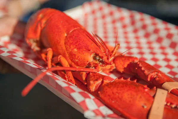 Énormes pots de rue pour faire bouillir les homards Image En Vente