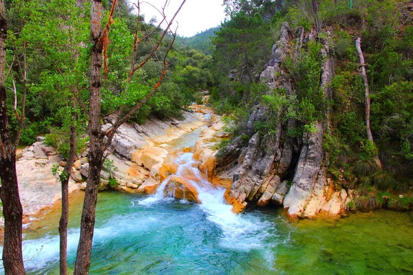 Rio Borosa Cazorla — Foto Stock