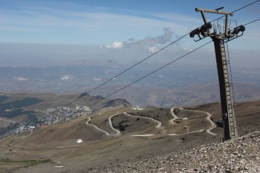 Telesilla en Sierra Nevada, Granada