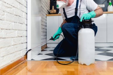 İşteki ilaçlamacı ilaçlama için sprey sıkar.. 