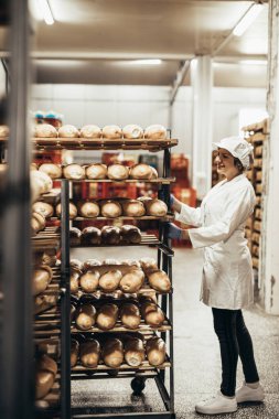 Fırında çalışan ve raflara ekmek koyan genç bir bayan işçi.