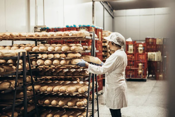 Молодая Работница Работает Пекарне Кладет Хлеб Полку — стоковое фото