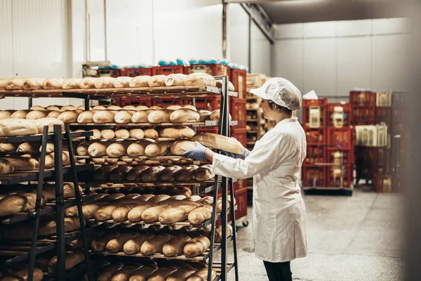 Молодая Работница Работающая Пекарне Кладет Хлеб Полку — стоковое фото