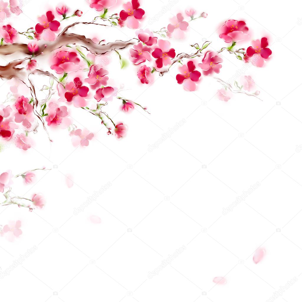 Blooming sakura japan cherry branch with pink flowers. Spring sakura card design. Isolated on white background.
