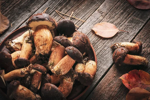 Harvest edible forest mushrooms in a basket — Stock Photo, Image