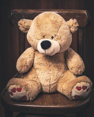 Oyuncak ayı eski bir sandalyede oturuyor.