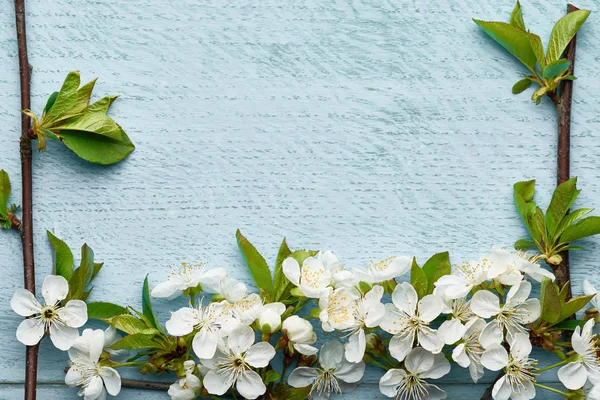 Kiraz çiçekleri mavi ahşap arka planda metin için bir çerçeve oluşturur: ilkbahar zamanı kavramı