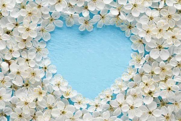 Kersenbloesem bloemen vormen een hart vorm met plaats voor tekst op een houten blauwe achtergrond: voorjaar concept — Stockfoto