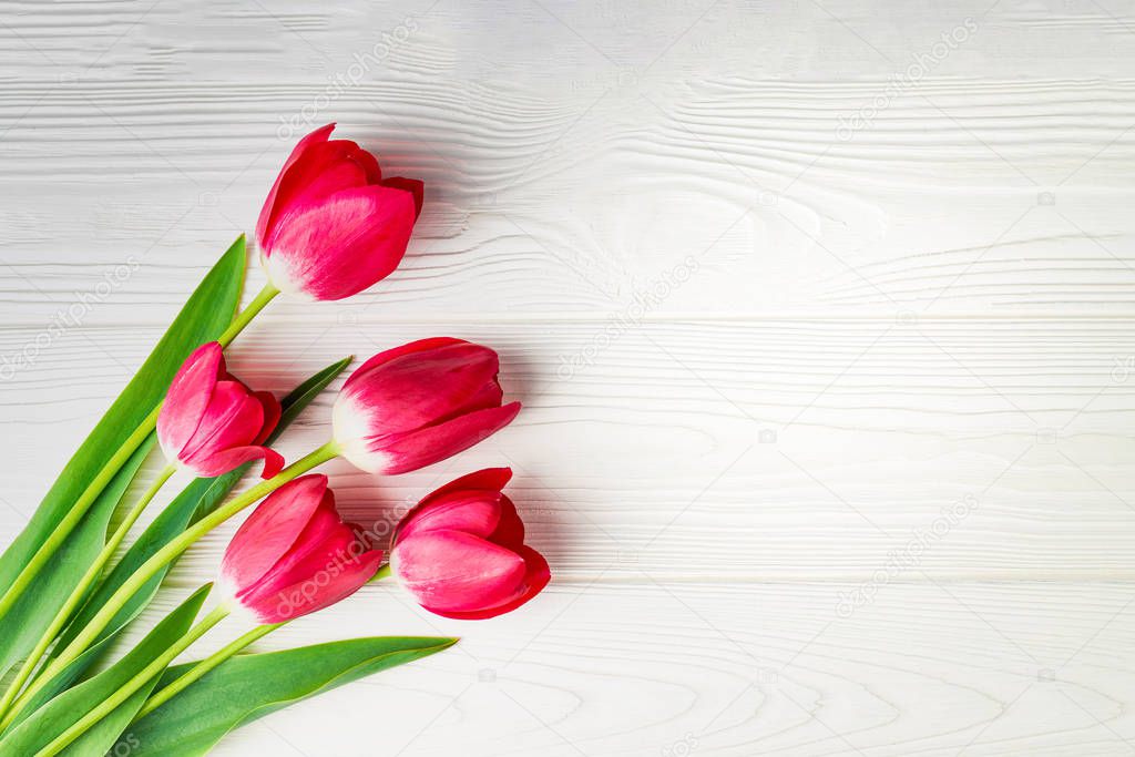 Bouquet of red tulips on a white wooden background with copy space: spring time concept