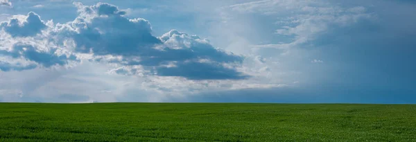 Cloudy blue sky and green young wheat panoramic shot web banner.