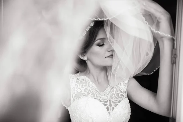 Magnífica novia posa en vestido de novia de lujo cerca de la ventana. Blanco y negro — Foto de Stock