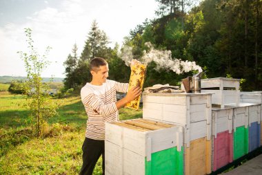 Arı kovanının çerçeveleri. Arı yetiştiricisi bal topluyor. Arı içicisi arıları sakinleştirmek için kullanılır..