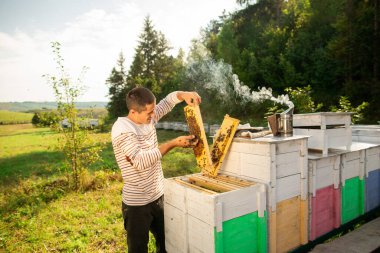 Arıcı arılarla dolu bir bal peteği tutuyor. Bir adam bal peteğini kontrol eder ve arıları elleriyle toplar..