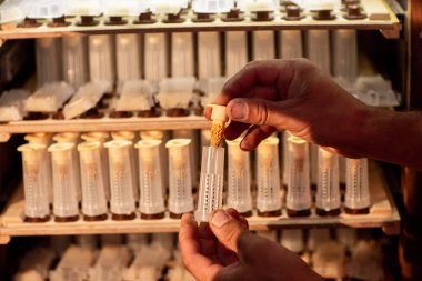 Kraliçe hücreleri tutan arı yetiştiricilerine yakın çekim. Hücre bigudileriyle arka plandaki raflarda.