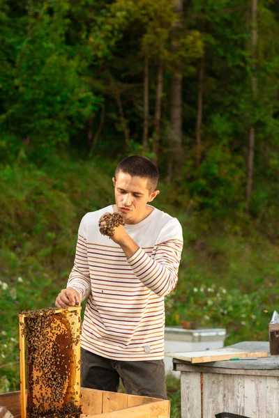 Šťastný Včelař Tráví Čas Včelíně Drží Medovinu Plnou Včel Jedna — Stock fotografie