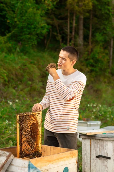 Peternak Lebah Yang Ceria Menghabiskan Waktu Peternakan Lebah Dia Memegang — Stok Foto