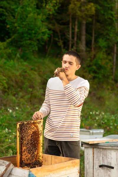 Včelař Drží Medovinu Plnou Včel Muž Který Usmívá Něžně Odpočívá — Stock fotografie