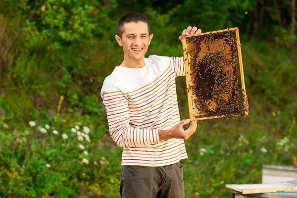 Beekeeper holding a honeycomb full of bees near the beehives. A man checks the honeycomb. Beekeeping concept.