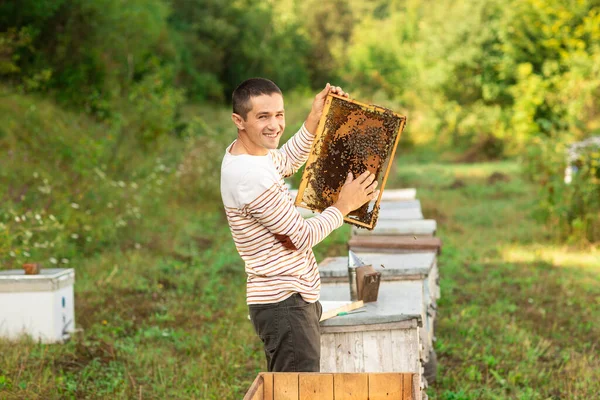 Bijenhouder Met Een Honingraat Vol Bijen Bij Bijenkorven Een Man — Stockfoto