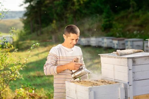 Rámy Včelího Úlu Včelař Sklízí Med Včelí Kuřák Používá Zklidnění — Stock fotografie
