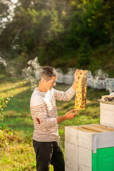 Marcos Una Colmena Abejas Apicultor Cosechando Miel Fumador Abejas Utiliza —  Fotos de Stock