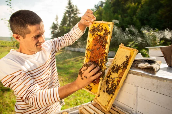Méhész Egy Méhekkel Teli Lépet Tart Kezében Egy Férfi Ellenőrzi — Stock Fotó