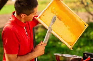 Kırmızı tişörtlü arı yetiştiricisi bal peteği çerçevesinden özel bir bıçakla bir kaseye balmumu kesiyor. Bal üretimi. Kapat..