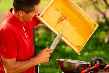 Kırmızı tişörtlü arı yetiştiricisi bal peteği çerçevesinden özel bir bıçakla bir kaseye balmumu kesiyor. Bal üretimi. Kapat..