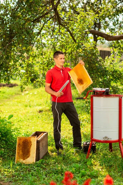Méhész Piros Pólóban Viaszt Vág Méhsejt Keretéből Egy Speciális Elektromos — Stock Fotó