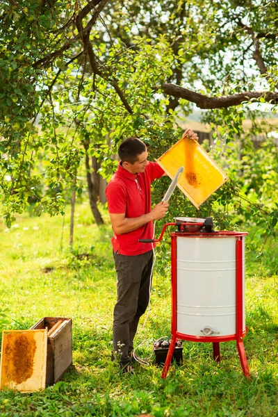 Včelař Červeném Tričku Stříhá Vosk Voskového Rámu Speciálním Elektrickým Nožem — Stock fotografie