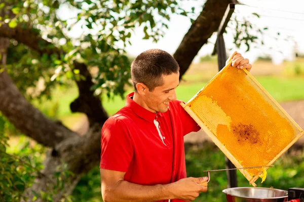 Peternak Lebah Dengan Kaos Merah Memotong Lilin Dari Bingkai Sarang — Stok Foto