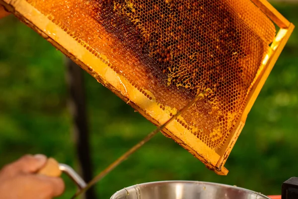 Detailní Záběr Včelařských Rukou Řeže Vosk Voskového Rámu Speciálním Nožem — Stock fotografie