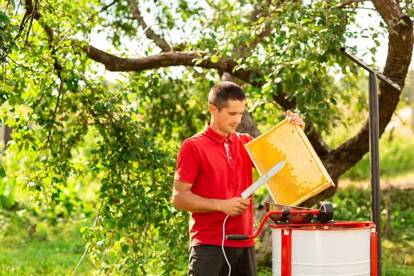 Μελισσοκόμος Κόκκινο Shirt Κόβει Κερί Από Κυψελωτό Σκελετό Ειδικό Ηλεκτροφόρο — Φωτογραφία Αρχείου