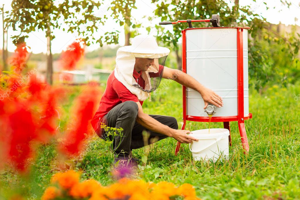 A beekeeper in a protective cap crouched near the honey extractor. He pours fresh honey into the white bucket.