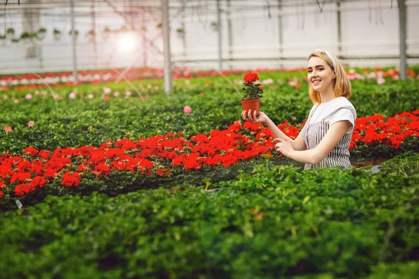Gadis Cantik Tersenyum Pekerja Dengan Bunga Rumah Kaca Konsep Bekerja — Stok Foto