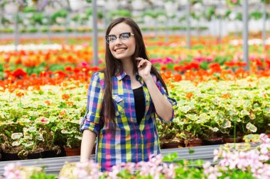 Gözlüklü güzel esmer, parlak renkli çiçeklerin arka planında bir serada duruyor. Seralarda çalışmak, taze çiçek almak..