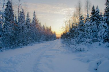 Gün batımında Lapland kış manzara