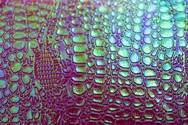 Crocodile skin texture in neon colors. Concept color 2019, texture. Pink, mint, purple. Creative background for the project. — ストック写真