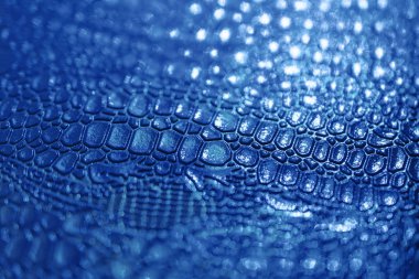 Mavi timsah derisi dokusuna sahip bir arka plan. Doku, arkaplan, eğilim, renk 2020