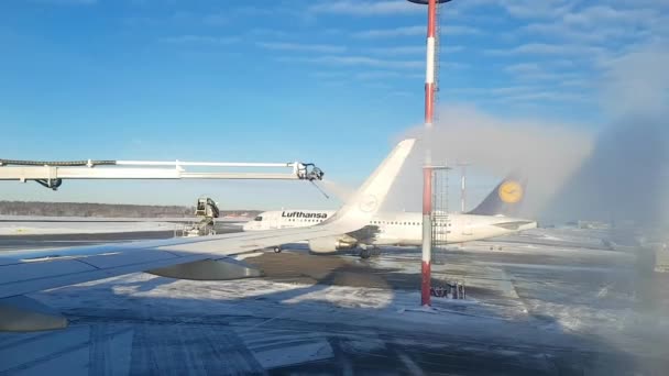 Duitsland Frankfurt Main 2019 Vliegtuigbehandeling Wordt Winter Voor Vertrek Luchthaven — Stockvideo