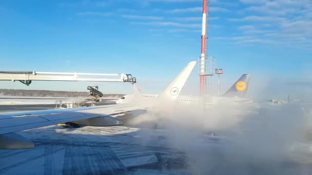 Germany Frankfurt Main 2019 Aircraft Handling Iced Reagents Winter Departure — Stockvideo