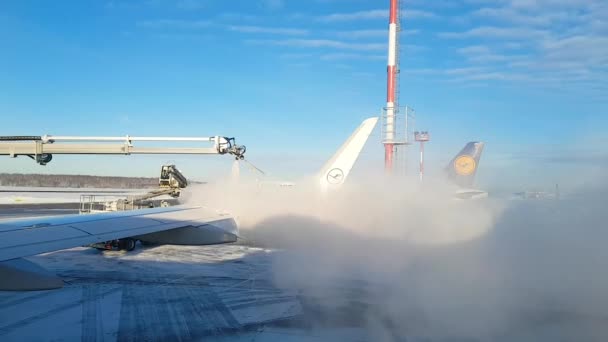 Germany Frankfurt Main 2019 Aircraft Handling Iced Reagents Winter Departure — Stock Video
